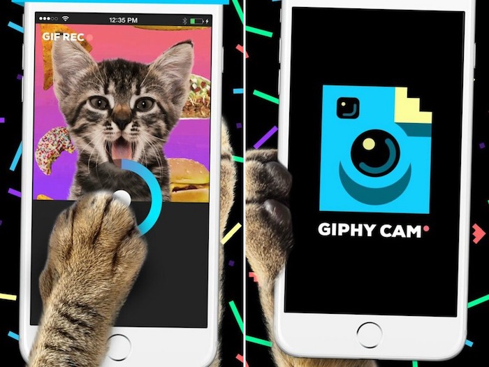 giphy cam